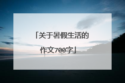 关于暑假生活的作文700字