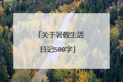 关于暑假生活日记500字