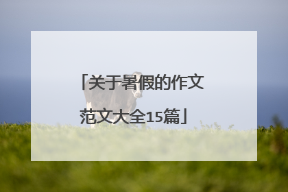 关于暑假的作文范文大全15篇