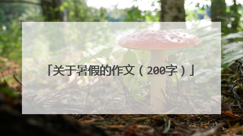 关于暑假的作文(200字)