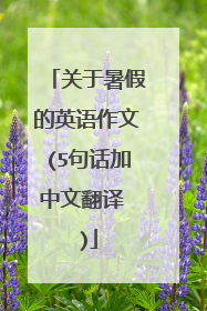 关于暑假的英语作文(5句话加中文翻译 )