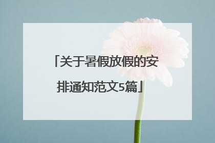 关于暑假放假的安排通知范文5篇