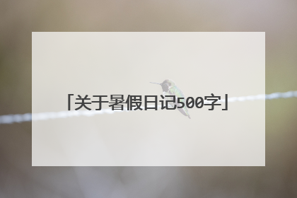 关于暑假日记500字