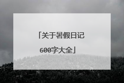关于暑假日记600字大全