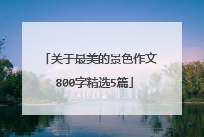 关于最美的景色作文800字精选5篇
