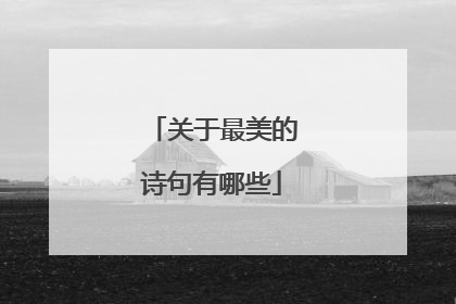 关于最美的诗句有哪些