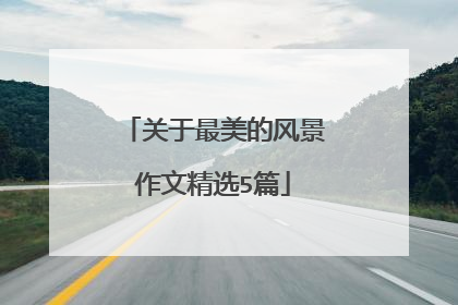 关于最美的风景作文精选5篇