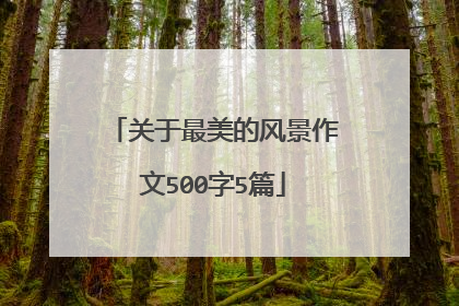 关于最美的风景作文500字5篇