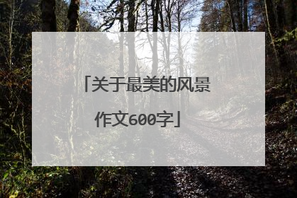 关于最美的风景作文600字