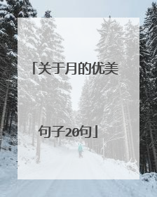 关于月的优美句子20句