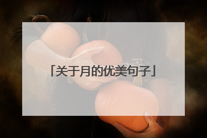 关于月的优美句子