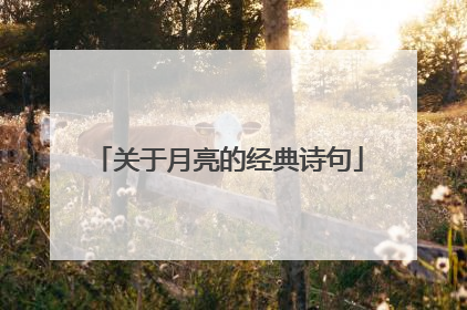 关于月亮的经典诗句