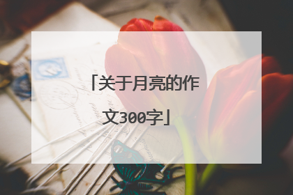 关于月亮的作文300字