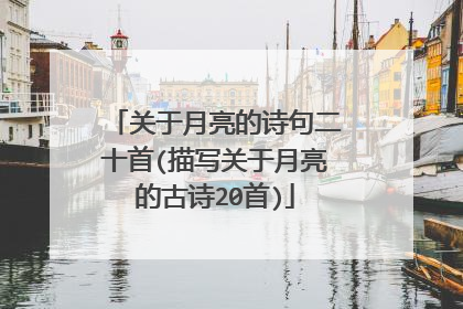 关于月亮的诗句二十首(描写关于月亮的古诗20首)