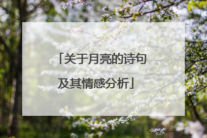 关于月亮的诗句及其情感分析