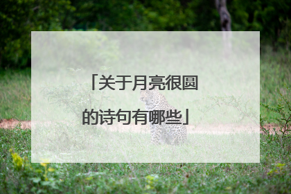 关于月亮很圆的诗句有哪些