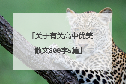 关于有关高中优美散文800字5篇