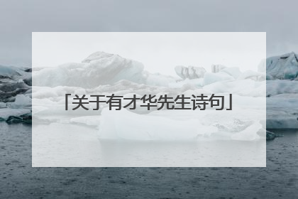关于有才华先生诗句