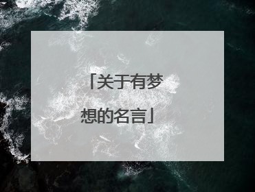 关于有梦想的名言