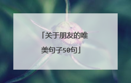 关于朋友的唯美句子50句