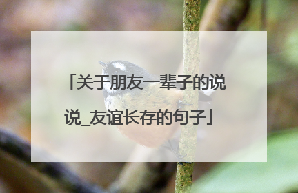 关于朋友一辈子的说说_友谊长存的句子