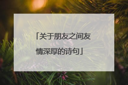 关于朋友之间友情深厚的诗句