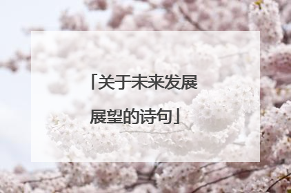 关于未来发展展望的诗句