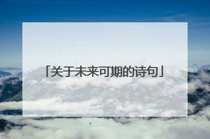 关于未来可期的诗句