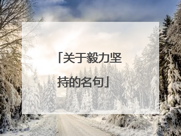 关于毅力坚持的名句