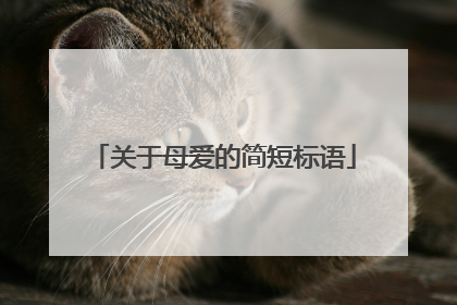 关于母爱的简短标语