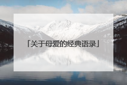 关于母爱的经典语录