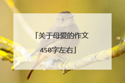 关于母爱的作文450字左右