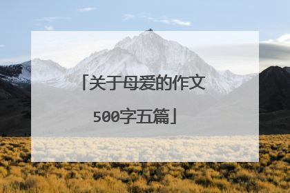 关于母爱的作文500字五篇