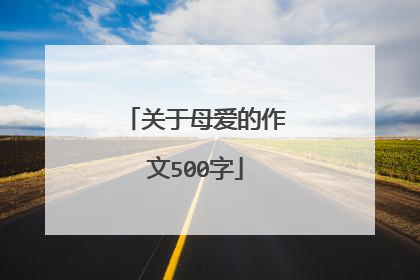 关于母爱的作文500字