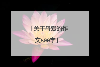 关于母爱的作文600字