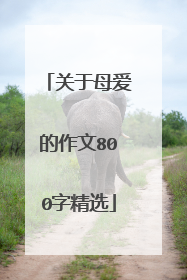 关于母爱的作文800字精选