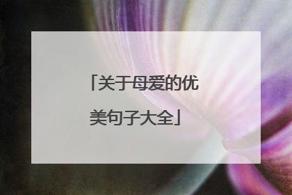 关于母爱的优美句子大全