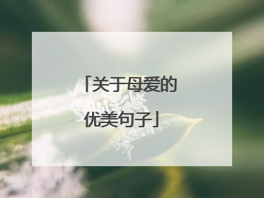 关于母爱的优美句子
