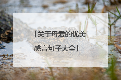 关于母爱的优美感言句子大全
