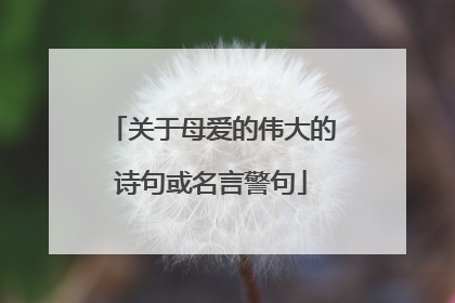 关于母爱的伟大的诗句或名言警句