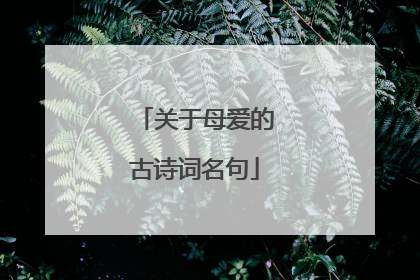 关于母爱的古诗词名句
