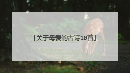 关于母爱的古诗10首