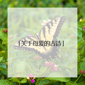 关于母爱的古诗