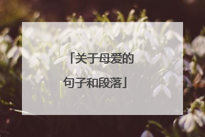 关于母爱的句子和段落
