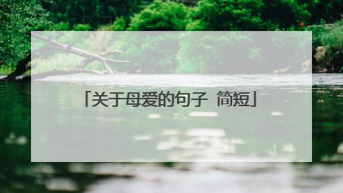 关于母爱的句子 简短