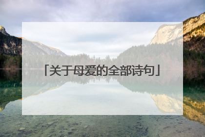 关于母爱的全部诗句