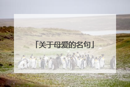 关于母爱的名句