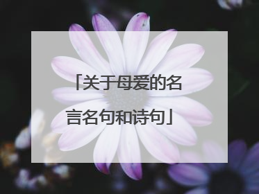 关于母爱的名言名句和诗句