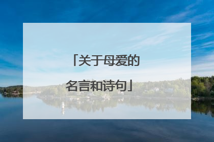 关于母爱的名言和诗句