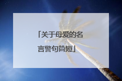 关于母爱的名言警句简短